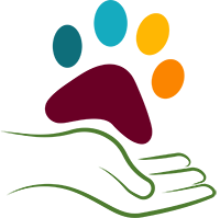 Hundeschule Hund-Mensch TeamWork Heike Straub